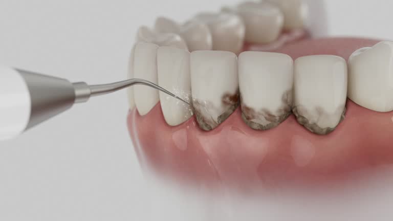 Reliable Dental contractor in Berrien Springs, MI by Dentist Open Now